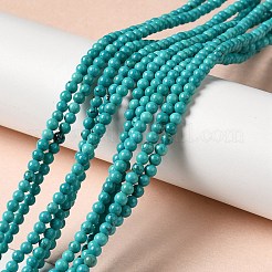天然石ハウライトビーズ連売り  染め  ラウンド  ターコイズ  3mm  穴：0.8mm  約130~133個/連  15.39~15.75インチ（39.1~40cm）&nbsp;G-C025-15B