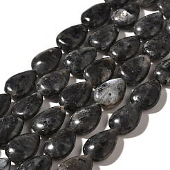 Natural Larvikite Beads Strands&nbsp;G-I377-A10