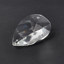 Transparent Glass Big Pendants&nbsp;GLAA-F118-11