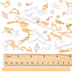 207Pcs Alloy Cabochons & Links&nbsp;PALLOY-OC0002-74