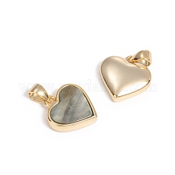 Natural Shell Charms&nbsp;KK-L196-14