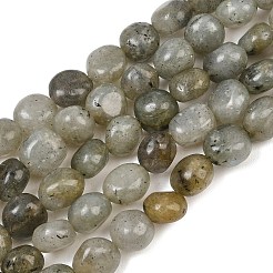 天然石ラブラドライトビーズ連売り  ナゲット  タンブルストーン  9~11x8~10x6~10mm  穴：0.8mm  約18~19個/連  6.89~7.28''（17.5~18.5センチメートル）&nbsp;GG-CBA787B-A36