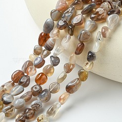 Natural Botswana Agate Nuggets Beads Strands&nbsp;G-L154-03