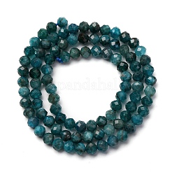 Natural Apatite Beads Strands&nbsp;G-A276-C08-4mm-02