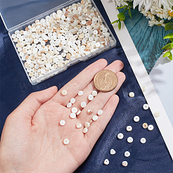 3 Strands Natural Shell Beads Strands&nbsp;SSHEL-NB0001-44A