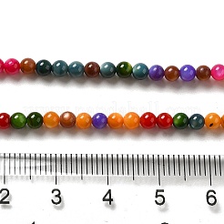 Natural Freshwater Shell Beads Strands&nbsp;SHEL-H003-03H