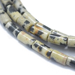 Natural Dalmatian Jasper Beads Strands&nbsp;G-F631-B07