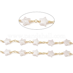 Brass Link Chains&nbsp;CHC-M025-24G