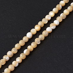 Natural Trochid Shell/Trochus Shell Beads Strands&nbsp;SSHEL-S266-023B-07
