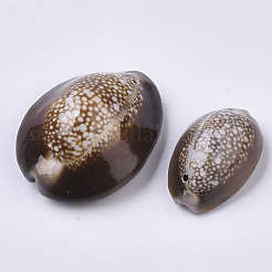 ナチュラルコウリーシェルペンダント  ココナッツブラウン  26~36x17~27x12~17mm  穴：1.4mm  約90個/500g&nbsp;SSHEL-N034-24