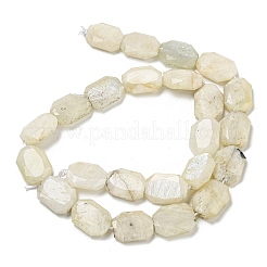 Natural Rainbow Moonstone Beads Strands&nbsp;G-P544-B05-01