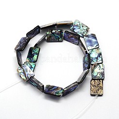 Natural Paua Shell Beads Strands&nbsp;SSHEL-J047-10B-01