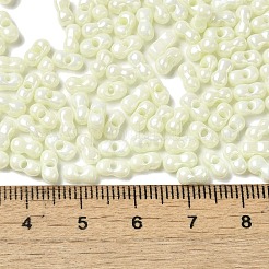 Opaque Colours Luster Glass Seed Beads&nbsp;X1-SEED-B001-01A-01