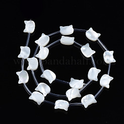 Natural White Shell Beads Strands&nbsp;SSHEL-S278-124A