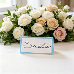 Paper Blank Place Cards for Wedding&nbsp;DIY-WH0899-883A