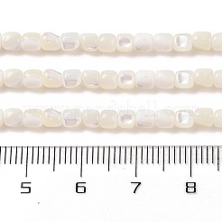 天然ニシキウズガイシェルビーズ連売り  コラム  漂白  3~4x3~4mm  穴：0.8~2mm  約110個/連  14.96''（38センチメートル）&nbsp;SHEL-P017-04