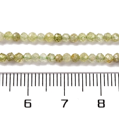 天然のグリーンガーネットビーズ連売り  多面カット  ラウンド  3mm  穴：0.6mm  約146個/連  15.55''（39.5センチメートル）&nbsp;G-A235-A02-01