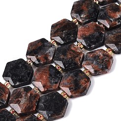 Natural Labradorite Beads Strands&nbsp;G-N368-01A-20