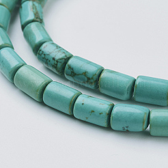 Natural Magnesite Beads Strands&nbsp;TURQ-K003-21D