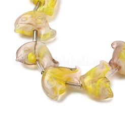 Handmade Lampwork Beads Strands&nbsp;LAMP-G167-01
