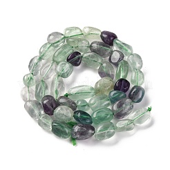 Natural Fluorite Beads Strands&nbsp;G-G146-A16-01