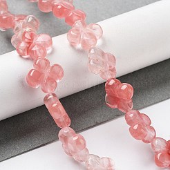 Cherry Quartz Glass Beads Strands&nbsp;G-P520-A05-01