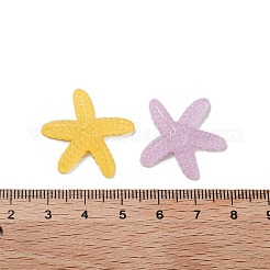 半透明樹脂の海の動物のデコデンカボション  ヒトデ  ミックスカラー  24x26.5x5.5mm&nbsp;RESI-S04-12