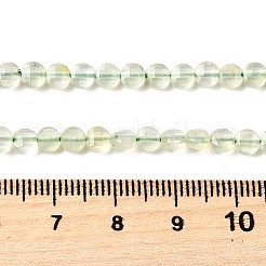 天然石プレナイトビーズ連売り  ファセットスクエアカットコインビーズ  フラットラウンド  4x2.5mm  穴：0.7mm  約111個/連  15.24''（38.7センチメートル）&nbsp;G-C179-A4mm-09