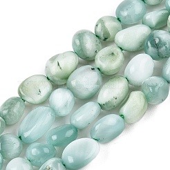 Natural Glass Beads Strands&nbsp;G-S362-084