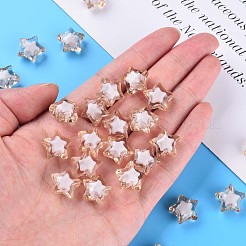 透明なアクリルビーズ  二層ビーズ  多面カット  スター  バリーウッド  14x15x8.5mm  穴：2mm  約518個/500g&nbsp;TACR-S152-02A-760