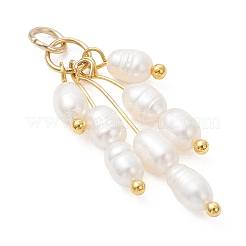 Natural Cultured Freshwater Pearl Pendants&nbsp;PALLOY-JF05104