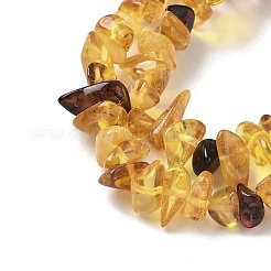 天然琥珀ビーズ連売り  チップ  5~11x4.5~6x2~4mm  穴：0.6mm  14.96インチ（38cm）&nbsp;G-L095-D01-04
