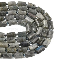 天然石ラブラドライトビーズ連売り  多面カット  コラム  シードビーズで  15~15.5x10mm  穴：0.8mm  約22個/連  15.75''~15.98''（40~40.6センチメートル）&nbsp;G-G453-E10-10x14mm