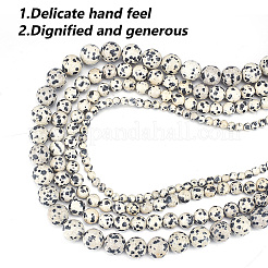 4 Strands 4 Styles Natural Dalmatian Jasper Stone Bead Strands&nbsp;G-GO0001-45