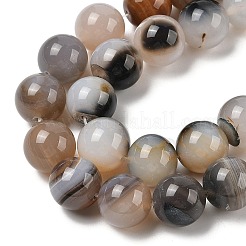 Natural Dendritic Agate Beads Strands&nbsp;G-A248-A07-06