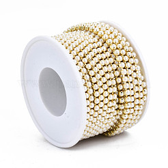 Brass Claw Chains&nbsp;CHC-Q012-SS12-01G