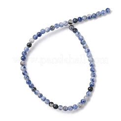 Natural Blue Spot Jasper Beads Strands&nbsp;G-Z116-A02-3mm
