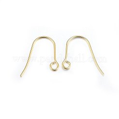 304 Stainless Steel Earring Hooks&nbsp;X-STAS-P210-21G