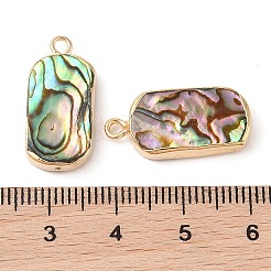 Natural Paua Shell Pendants&nbsp;SHEL-P017-22G