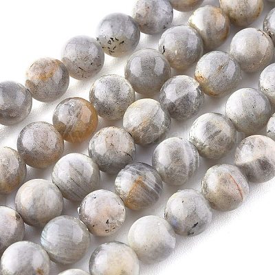 Natural Labradorite Beads Strands&nbsp;G-G212-8mm-23-1
