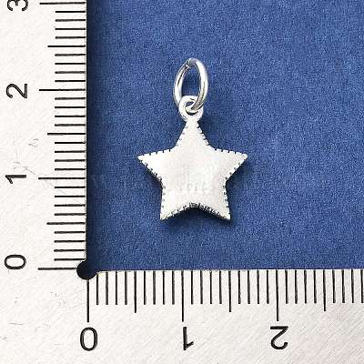 Sterling Silver Charms&nbsp;STER-E070-03H-1