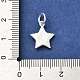 Sterling Silver Charms&nbsp;STER-E070-03H-3